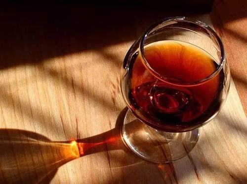 杯中歲月 一酒、一書、一知己，共飲人間滋味